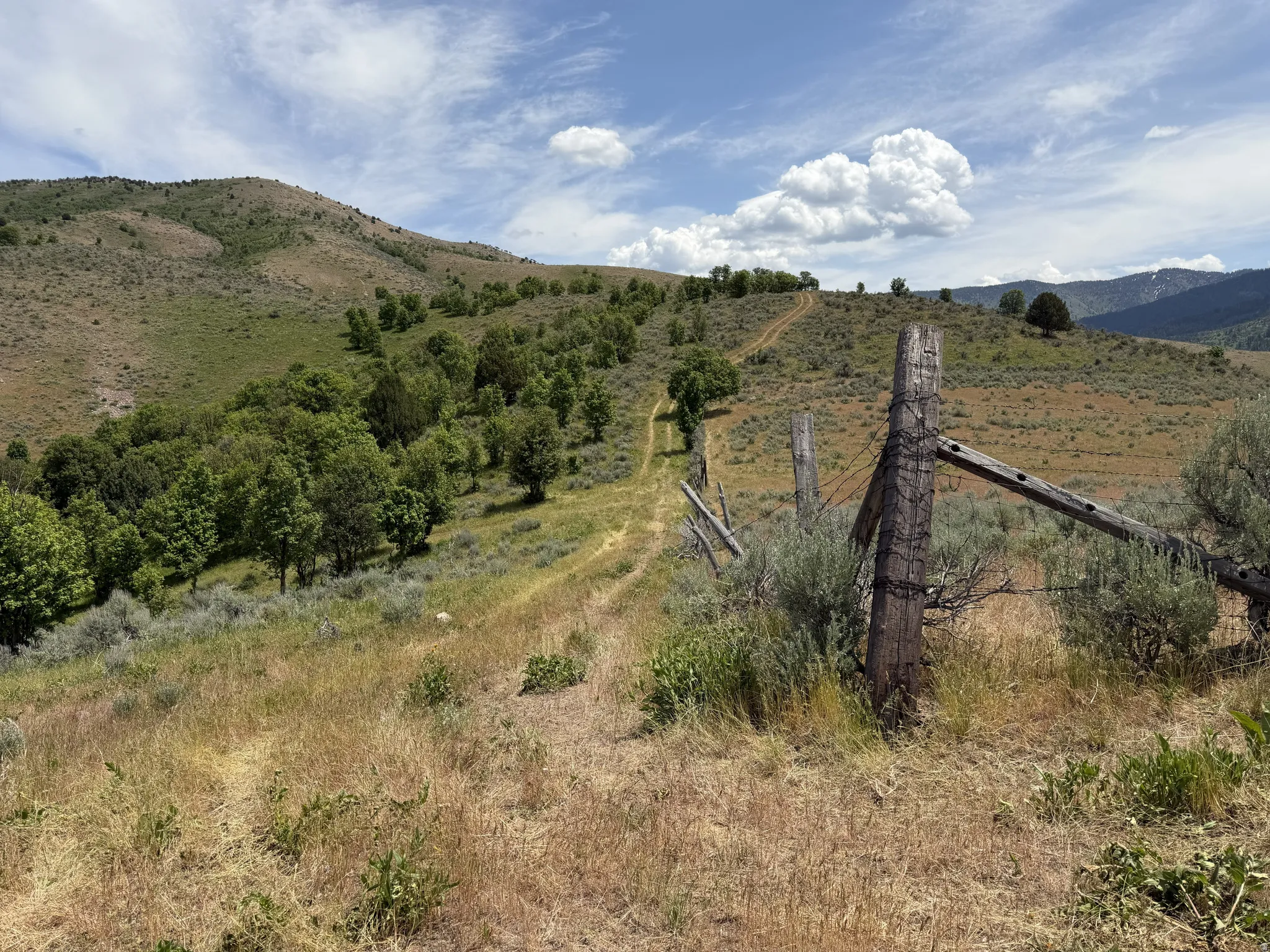Expansive natural landscape featuring rolling hills and abundant greenery
