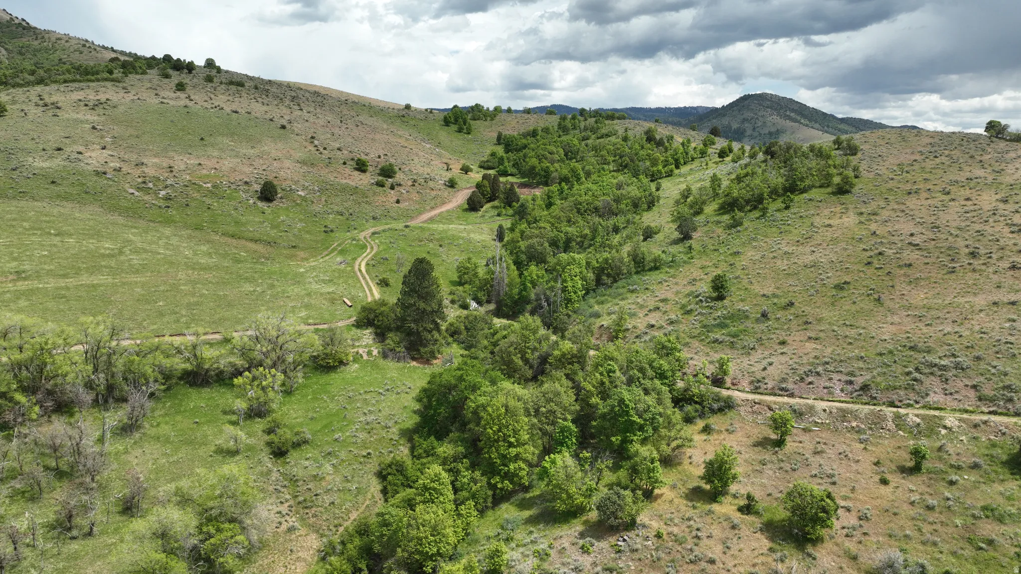 Expansive natural landscape featuring rolling hills, varied green foliage, a winding dirt path, and distant mountainous terrain