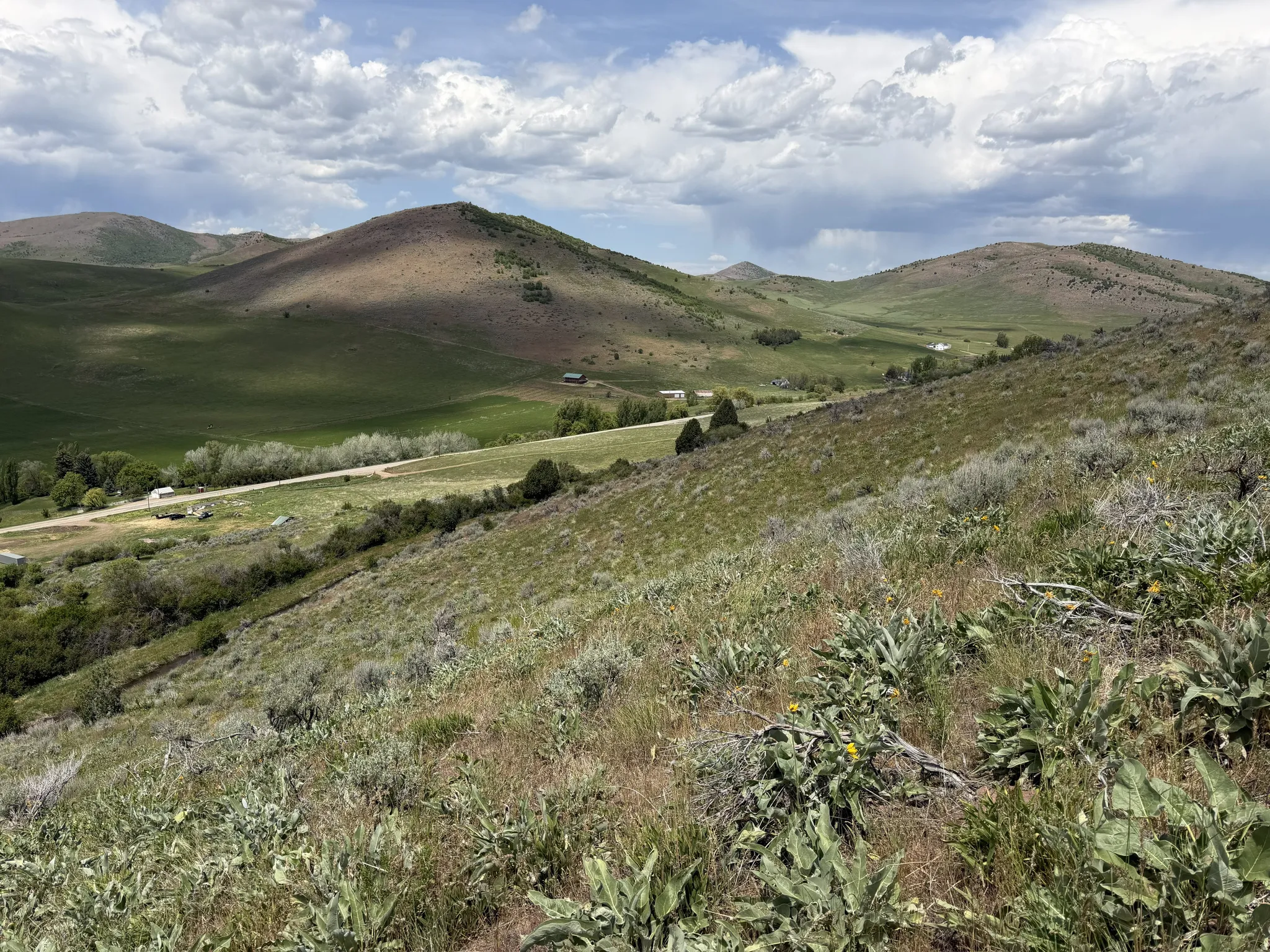 Expansive hillside terrain featuring varied natural vegetation and distant rolling hills