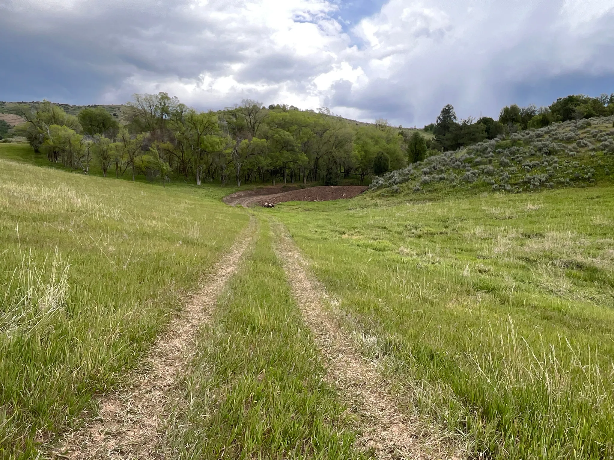 Expansive green hillside with a dirt path
