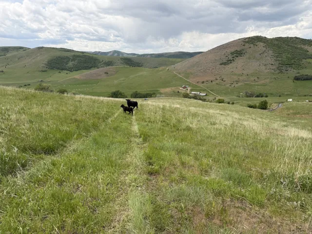 Expansive land featuring rolling green hills, distant structures, and a winding pathway