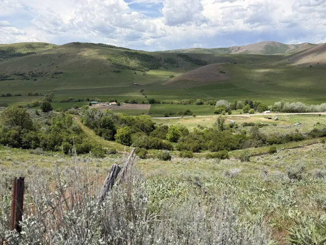 Expansive hillside property featuring mature foliage and distant mountain terrain