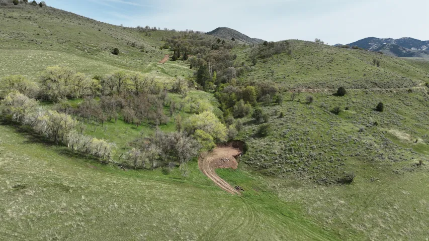 Expansive natural landscape featuring rolling hills and varied vegetation