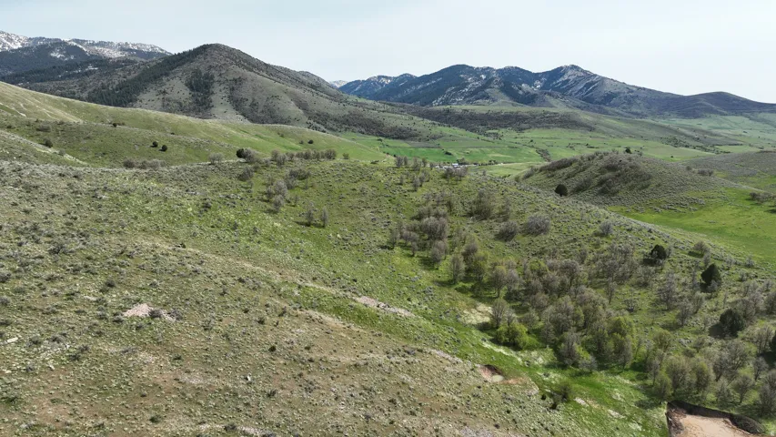 Expansive green hillsides featuring natural vegetation and scattered trees