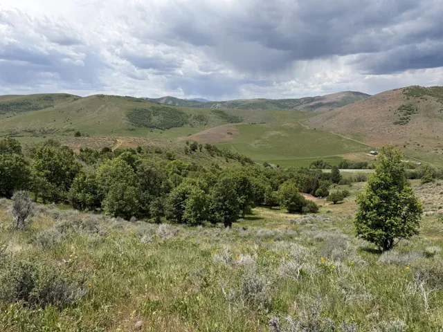 Expansive rural landscape featuring rolling hills and abundant natural vegetation