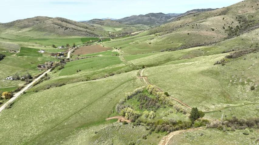 Expansive green hillsides with scattered trees and a visible dirt path