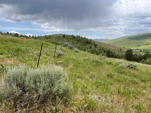 Expansive hillside property featuring natural vegetation and distant mountain ranges