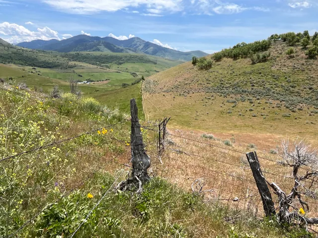 Expansive valley landscape featuring rolling hills, distant mountain ranges, and scattered green foliage