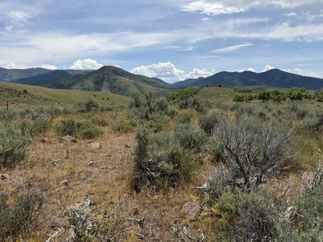 Expansive natural landscape featuring rolling hills and distant mountains under a blue sky with clouds