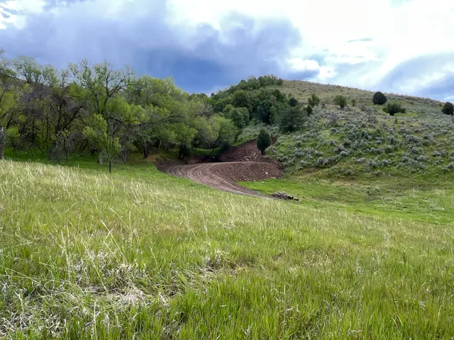 Expansive terrain featuring varied topography, including a gentle grassy slope, mature green deciduous trees, and lower shrubs