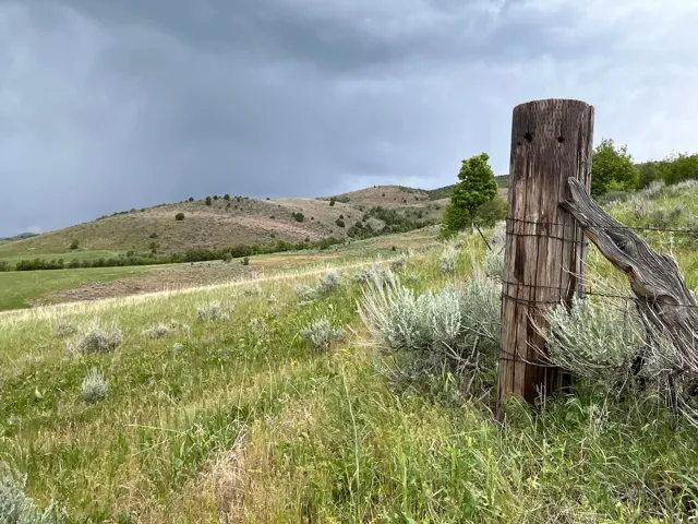 Expansive natural landscape featuring rolling hills, diverse plant life, and a rustic timber fence post