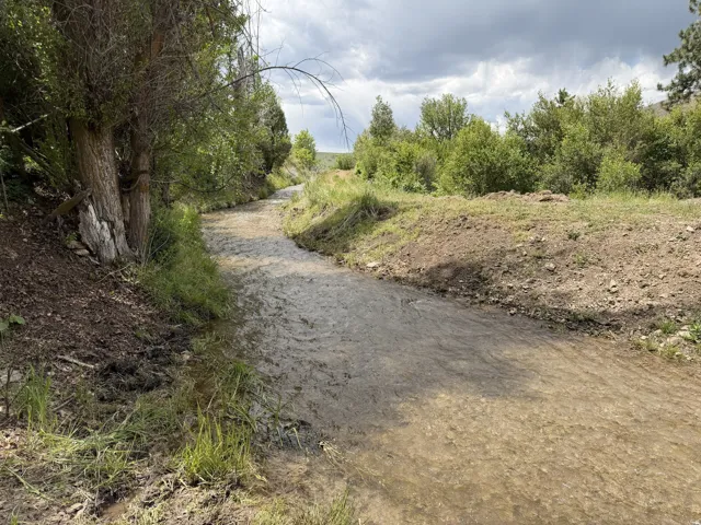 Water feature with natural banks and surrounding vegetation