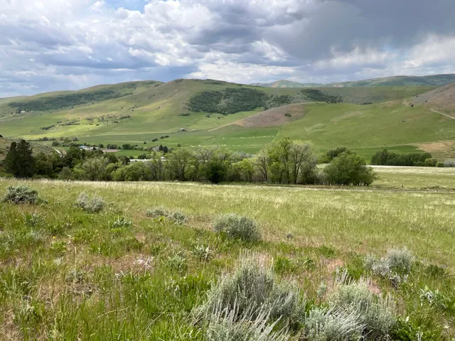Expansive natural landscape featuring rolling green hills, scattered trees, and a distant valley