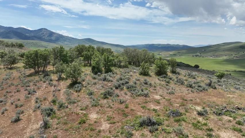 Expansive natural landscape featuring varied terrain with a mix of brush, trees, and distant mountains