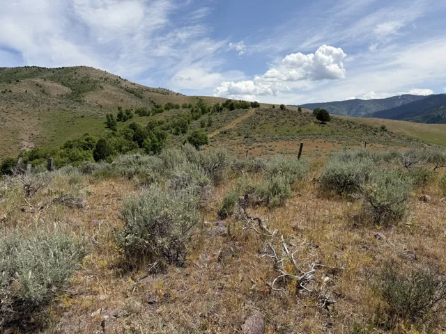 Expansive hillside property with diverse natural flora, including sagebrush and scattered trees