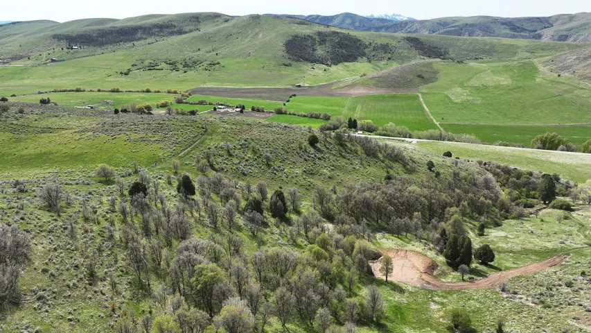 Rolling green hills, forested areas, and varied topography