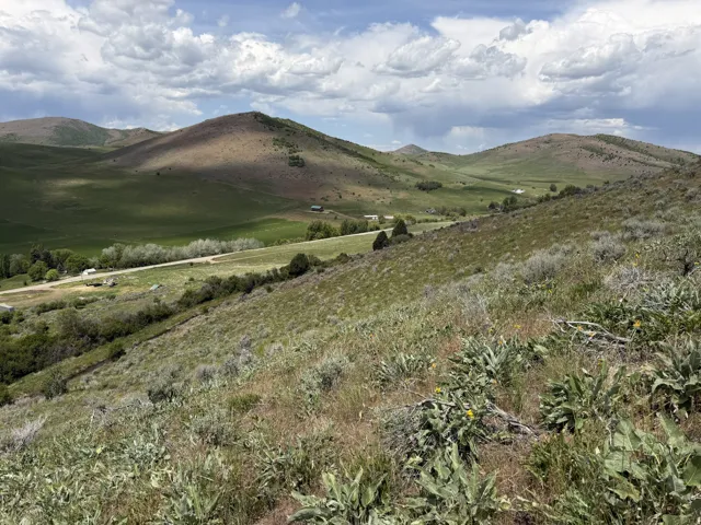 Expansive hillside terrain featuring varied natural vegetation and distant rolling hills