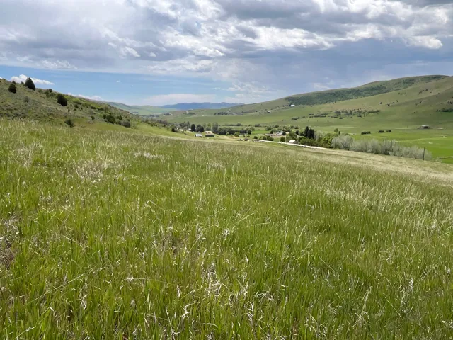 Expansive green hillside offering distant valley scenery