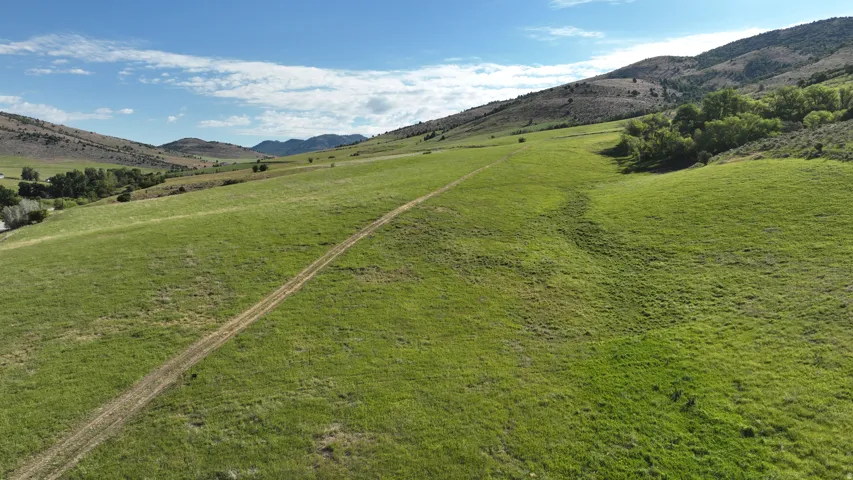 Expansive green acreage featuring a winding dirt path, distant mountains, and scattered deciduous trees