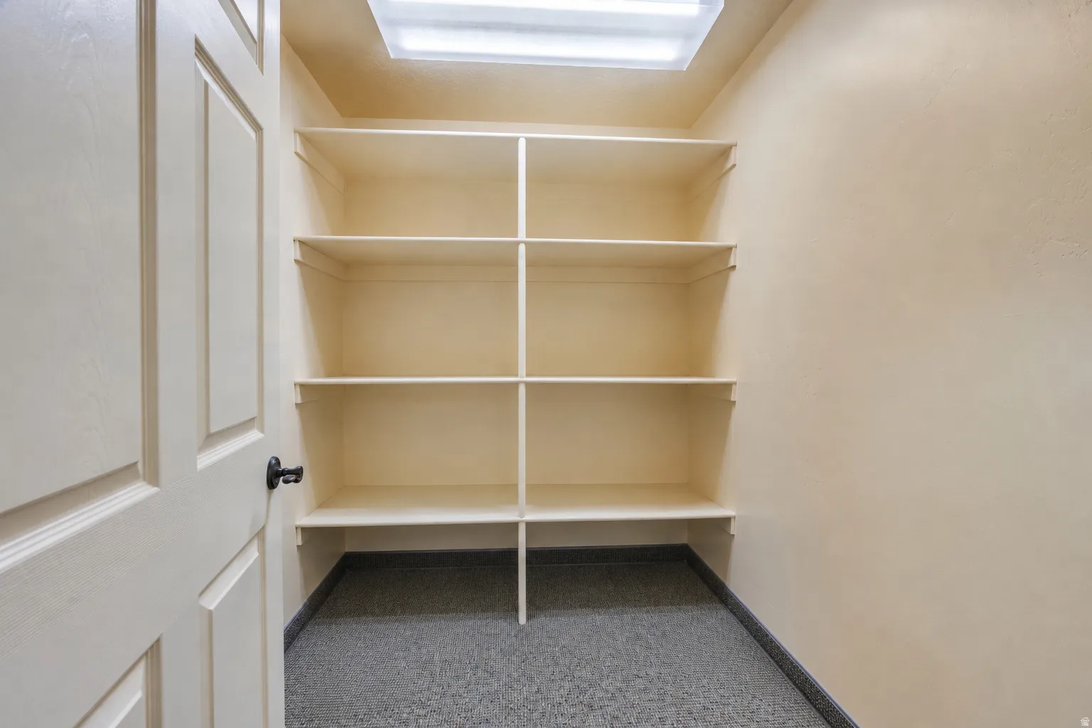 Built-in shelving unit providing extensive storage, neutral wall tones, overhead fluorescent lighting, and a durable speckled floor