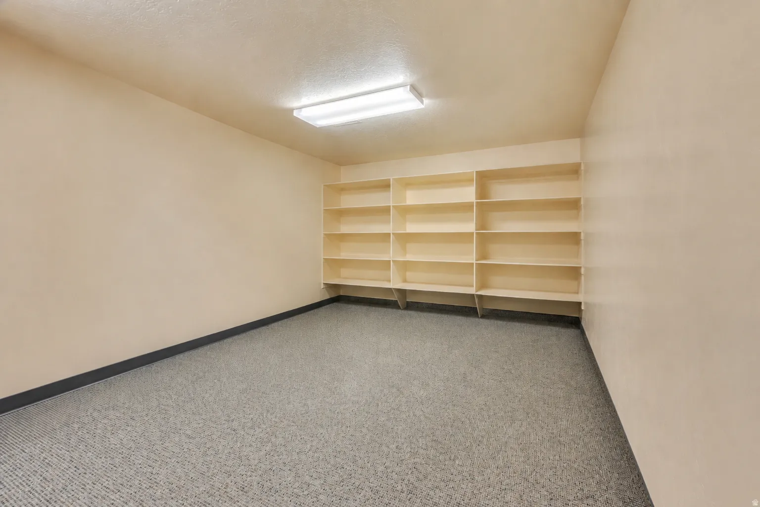 Spacious room featuring extensive built-in shelving, light-toned walls, and a durable speckled carpet