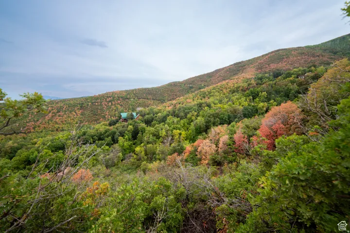 Lush, expansive hillside property surrounded by verdant foliage with vibrant autumn tones