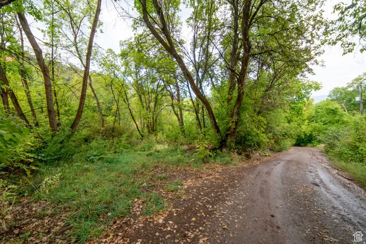 Wooded property featuring mature trees and a dirt path