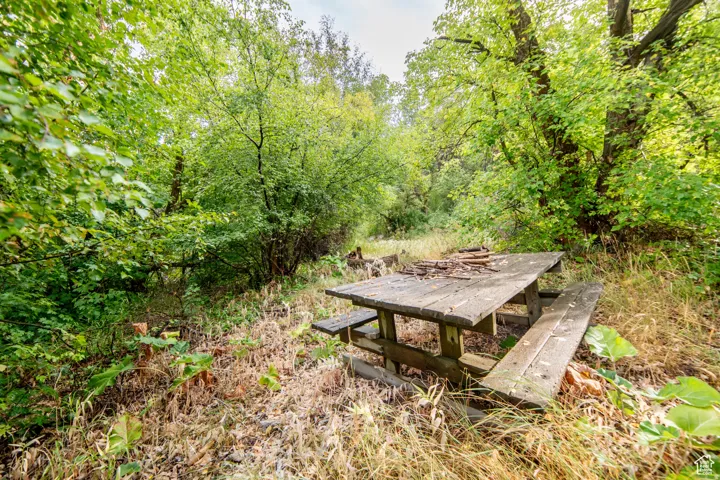 Wood picnic table with attached benches set within a natural, wooded environment featuring mature trees and varied vegetation