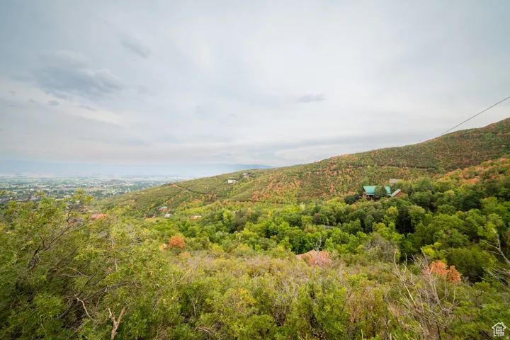 Expansive mountain landscape featuring a distant city, rolling hillsides, and abundant mature trees