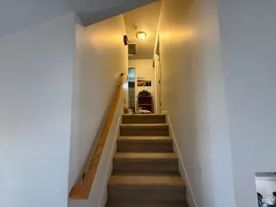 Carpeted staircase with a natural wood handrail, leading to an upper level
