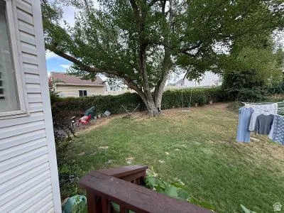 Expansive backyard featuring a mature shade tree and a manicured lawn
