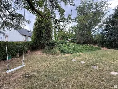 Expansive backyard featuring a large tree with a swing, stone stepping pads, mature perimeter hedges, and additional foliage