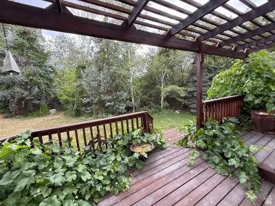 Expansive wood deck with a slatted pergola overhead