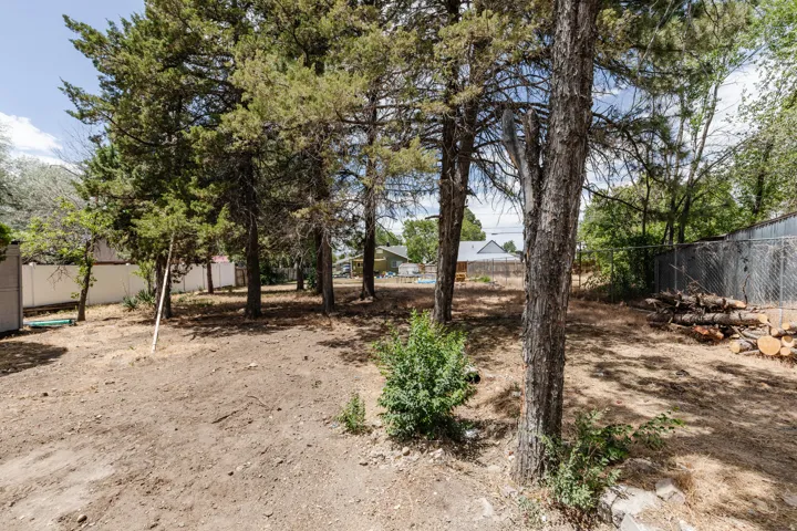 Expansive rear yard featuring mature trees, partial chain link fencing, a storage shed, and open ground cover