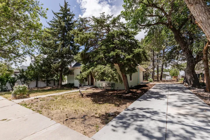 Long concrete driveway bordered by mature trees