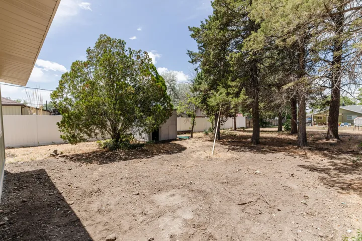 Expansive backyard featuring mature evergreen trees, a white perimeter fence, and a detached storage shed
