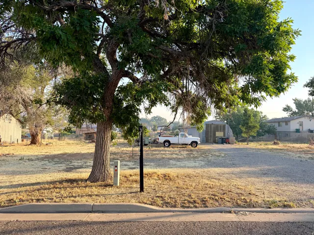 Spacious lot with mature tree canopy, gravel drive, and street-level curb