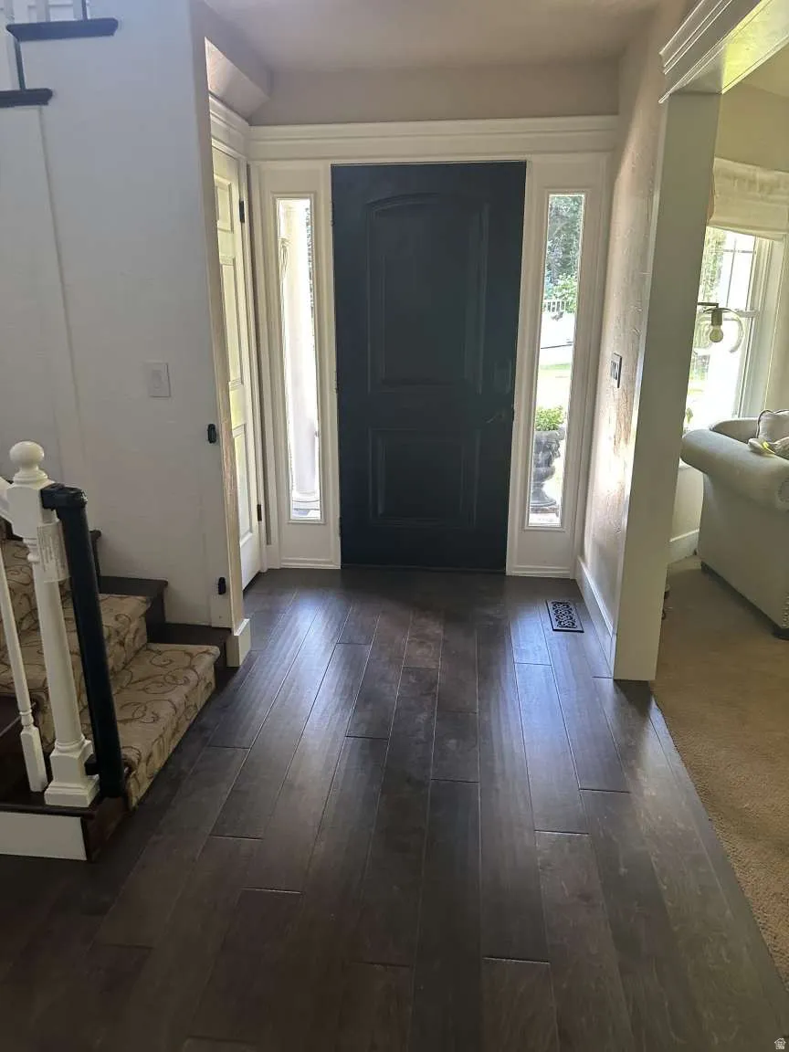 Entryway featuring a dark wood-finish flooring, a dark paneled front door with sidelights, and a staircase with white balusters and carpeted treads