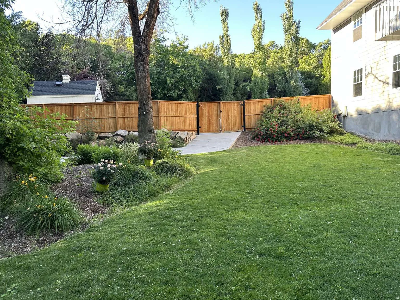Expansive lawn area featuring a newly installed privacy fence, a mature tree, and a concrete pathway leading to a double gate
