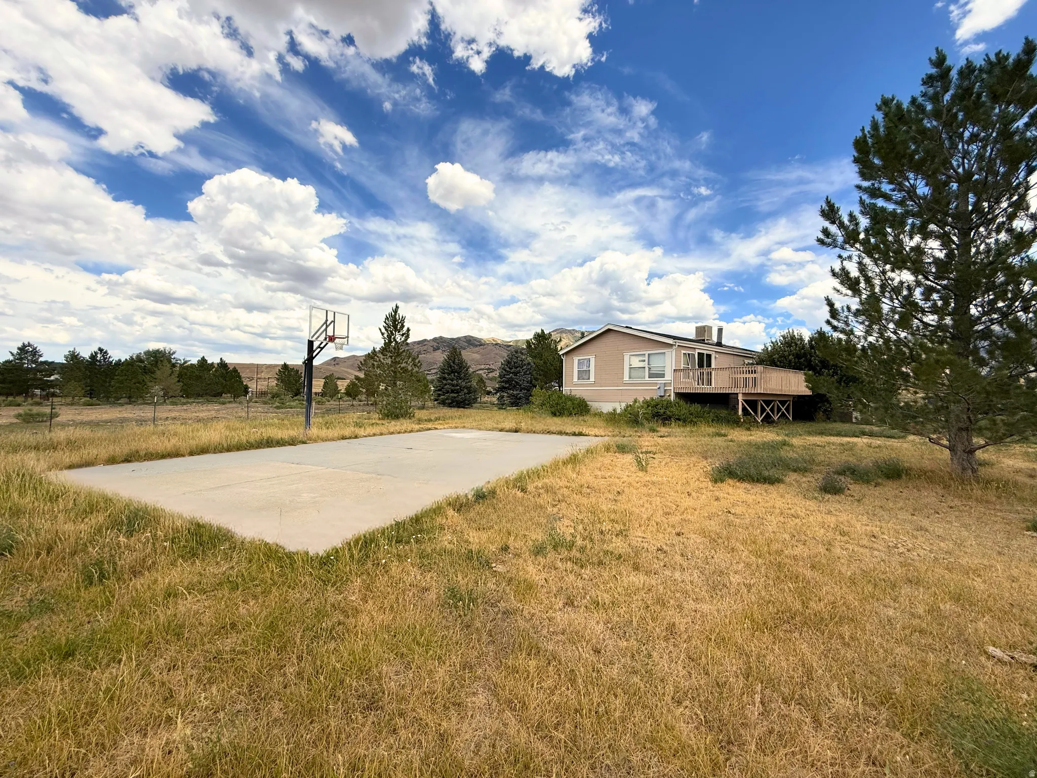 Expansive outdoor space featuring a concrete sports court with a basketball hoop