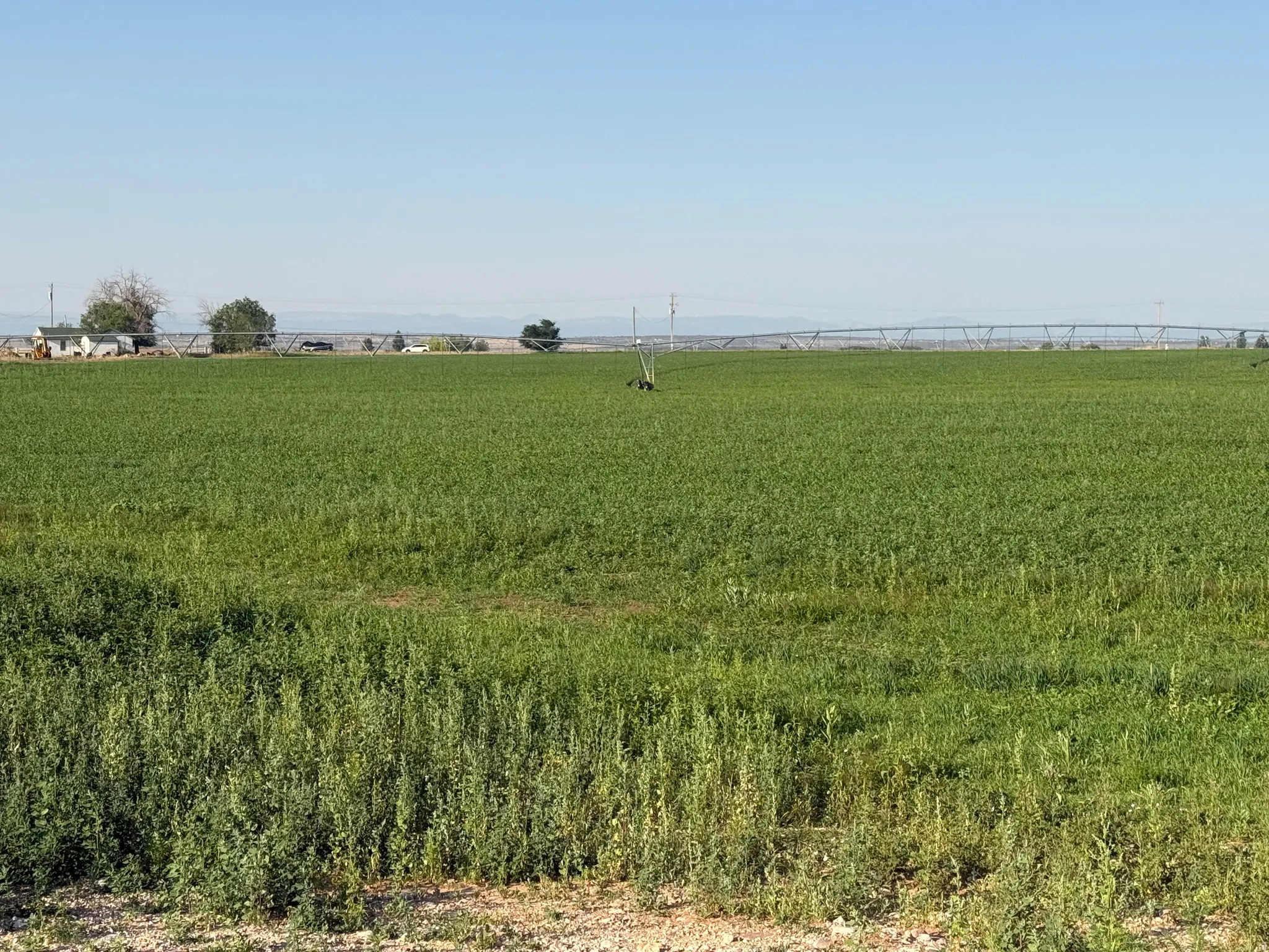 Expansive green field with an irrigation system
