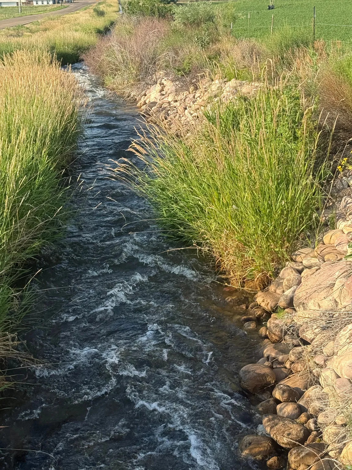Flowing water feature bordered by natural grasses and rock landscaping