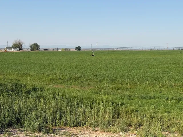 Expansive green field with an irrigation system