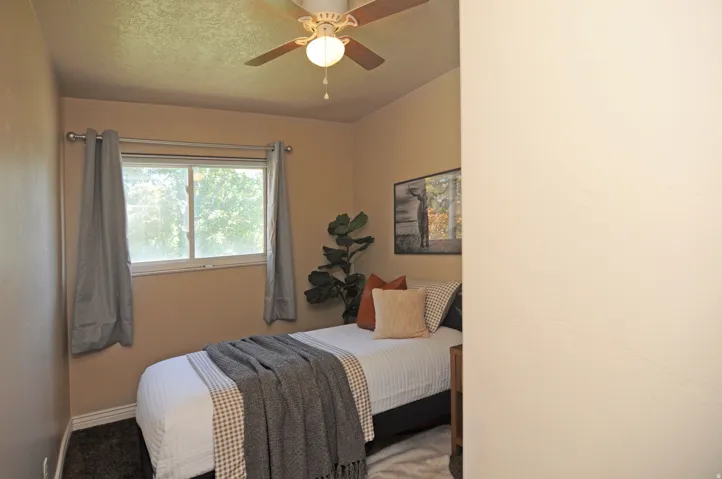 Ceiling fan with light fixture, window with drapery rods, wall-to-wall carpeting