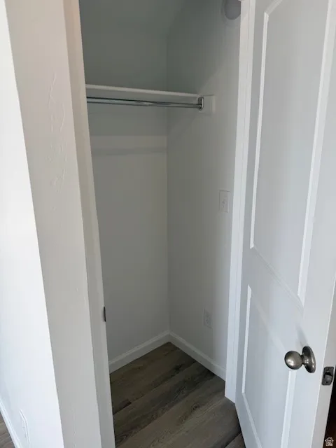 Recessed closet with a silver-finish hanging rod, wood-finish flooring, and crisp white trim