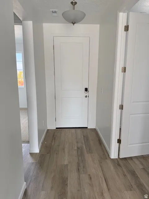 Entryway featuring wood-finish flooring, a contemporary white paneled door, and a semi-flush mount ceiling light