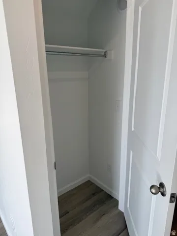 Recessed closet with a silver-finish hanging rod, wood-finish flooring, and crisp white trim