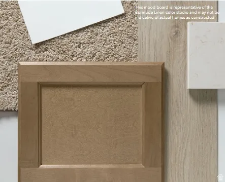 Curated selection of interior finishes featuring an Oak colored panel-style cabinet door, plush carpet, LVT wood-like finish flooring, and a stone-look slab