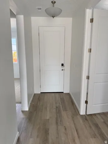 Entryway featuring wood-finish flooring, a contemporary white paneled door, and a semi-flush mount ceiling light