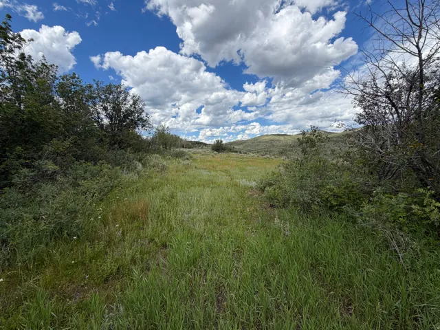 7990 Stauffer Canyon Rd, Montpelier, Idaho 83254